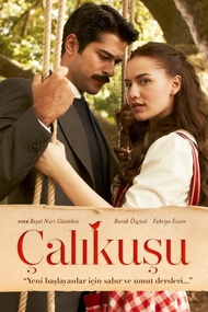 Calikusu – Episode 22